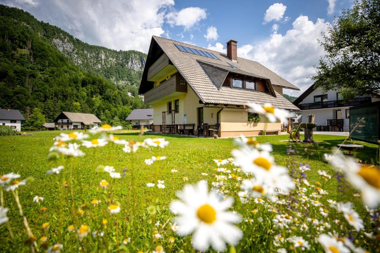 Apartments Darinka Mencinger Bohinj Exterior photo